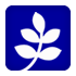 Graphic Logo
