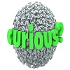 Curious / Stressed