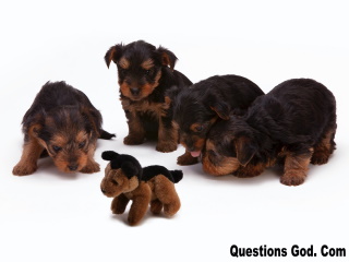 God picked the runt of the litter.