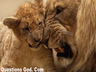 Our Salvation is compelling us to Love!