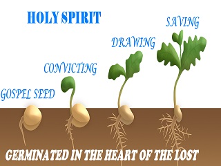Spiritual Birth is the Gospel Seed Germinated in the Heart of the Unsaved