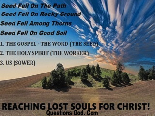 Four seeds fell on the path, rocky ground, thorns and the good soil.
