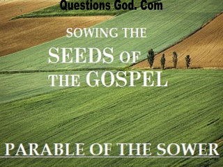 Parable of the Sower: Sowing the Seeds of the Gospel