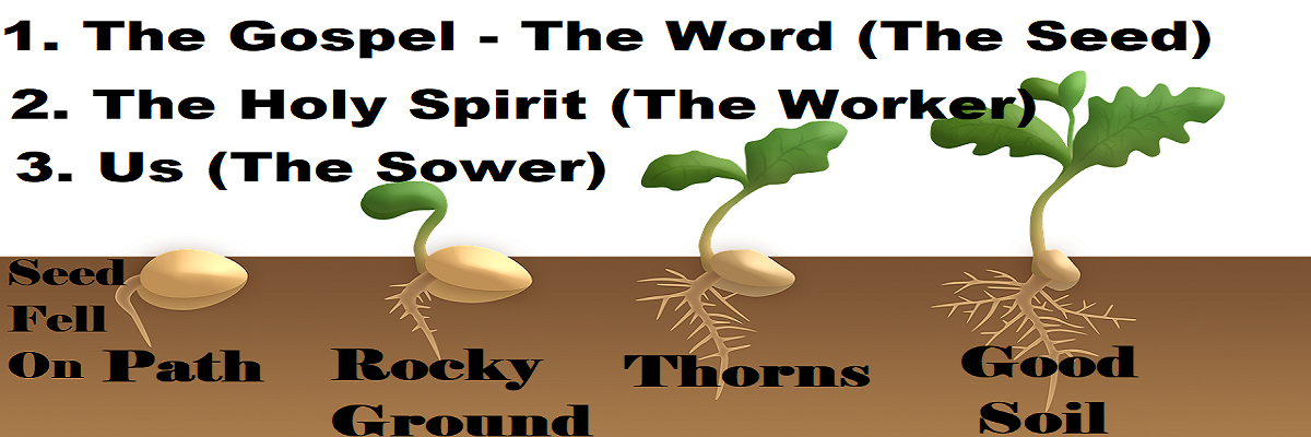 The Holy Spirit and our Responsibility