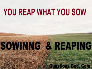 You reap what you sow!