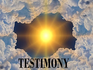 Brian's Testimony 